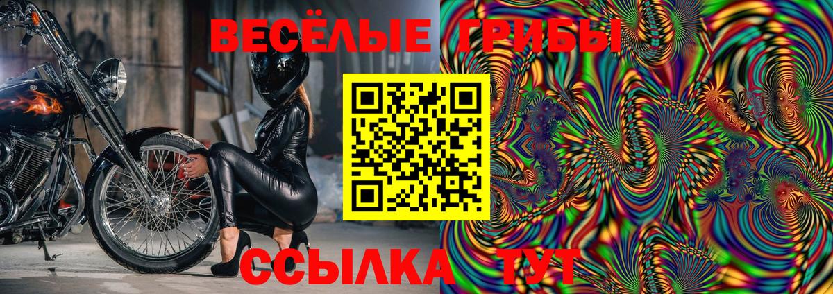 Стрежевой  Псилоцибиновые грибы Psilocybine cubensis  Псилоцибиновые грибы прущие грибы  Вход с VPN 