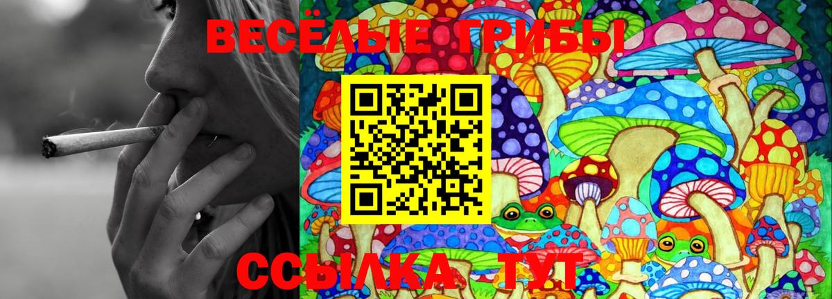  COCAIN Стрежевой